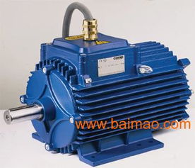 供應(yīng)進(jìn)口單相防爆電機(jī)CEMP 綜合指南與市場分析